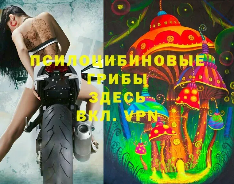 Галлюциногенные грибы Psilocybine cubensis  это как зайти  Лебедянь 